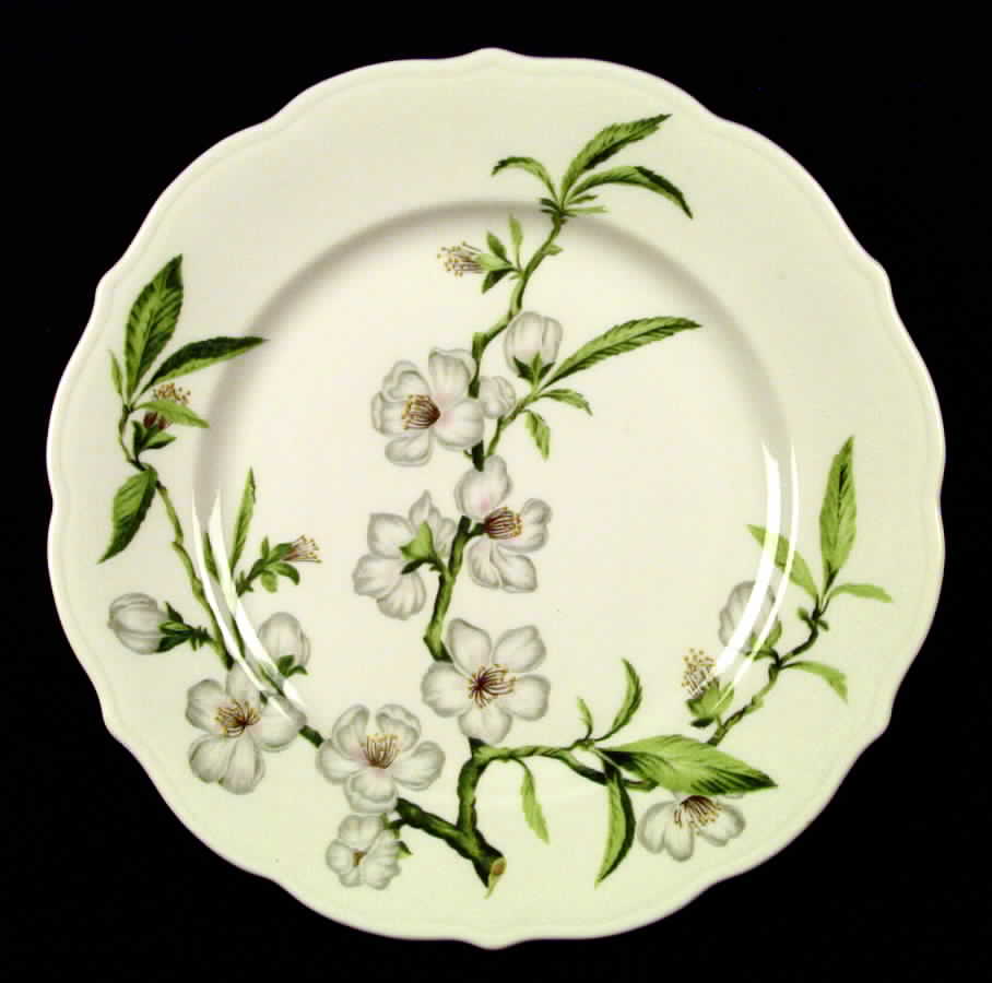 Park Lane Dinner Plate by Syracuse-1