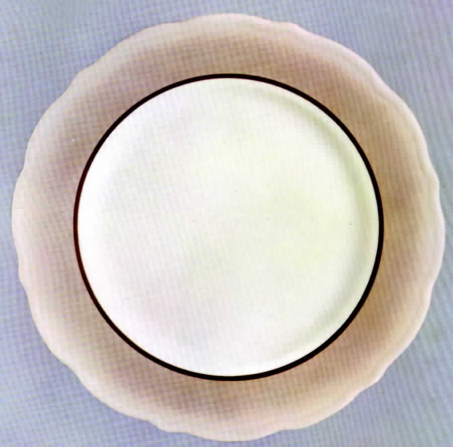 Sandalwood Dinner Plate by Syracuse-1