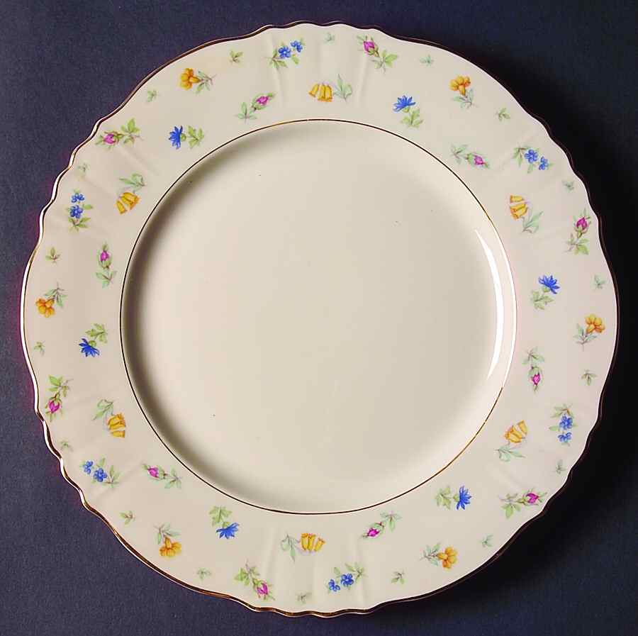 Suzanne Large Dinner Plate by Syracuse-1