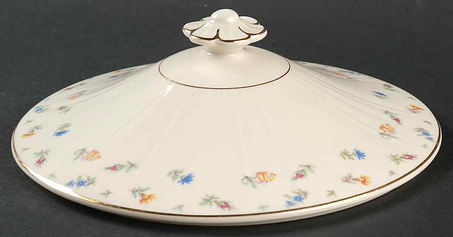 Suzanne Lid for Round Vegetable by Syracuse-1