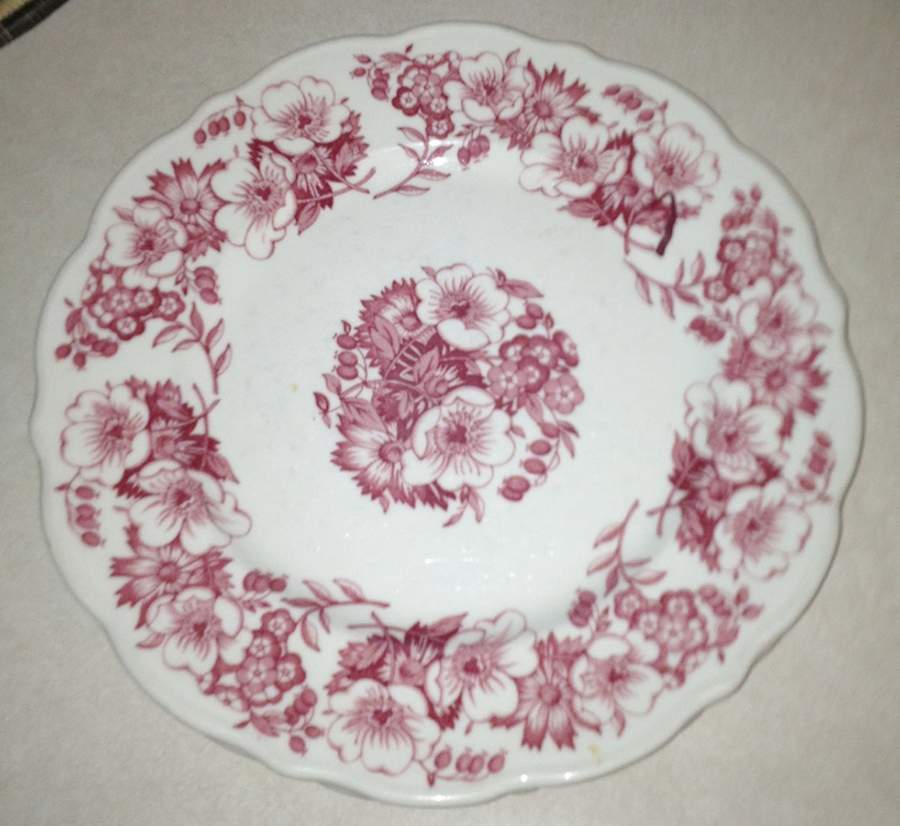 SY123 Dinner Plate by Syracuse-1