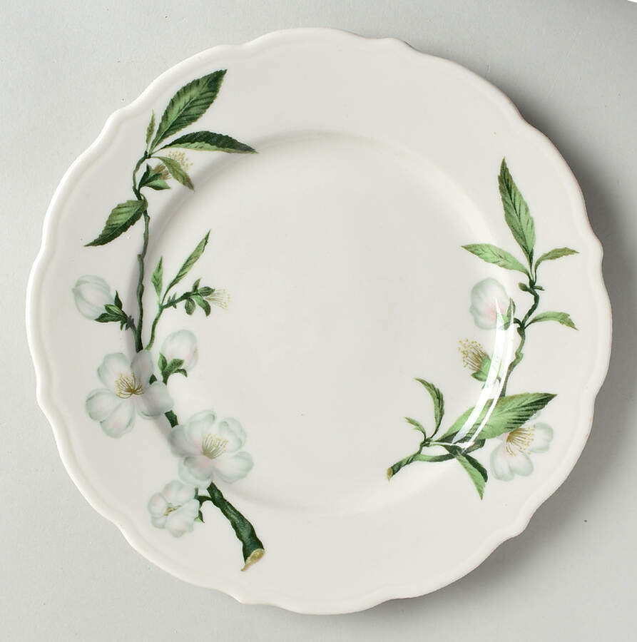 SY124 Dinner Plate by Syracuse-1