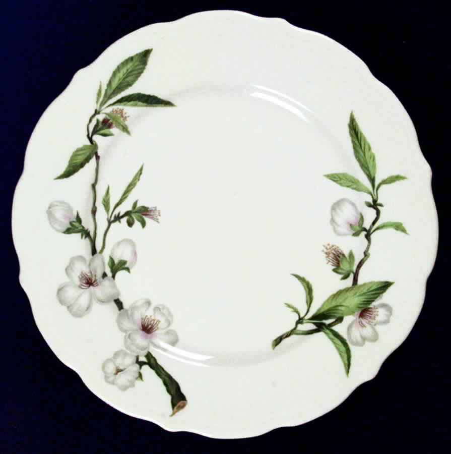 SY124 Dinner Plate by Syracuse-1