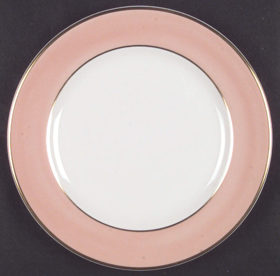 SY142 Dinner Plate by Syracuse-1