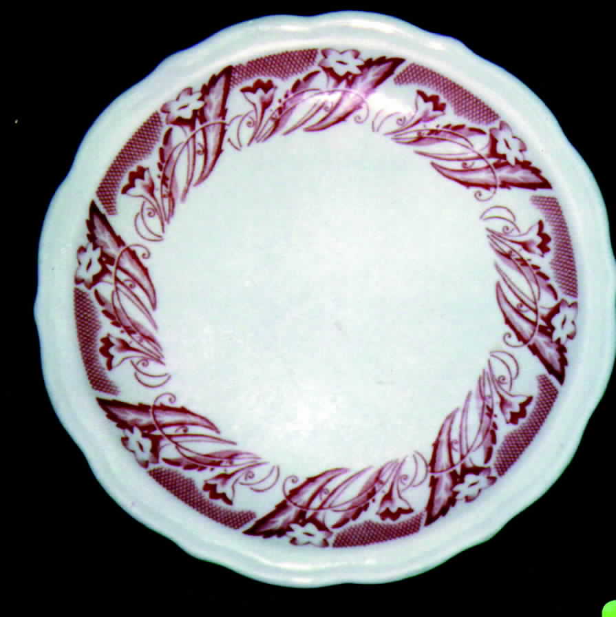 SY156 Dinner Plate by Syracuse-1
