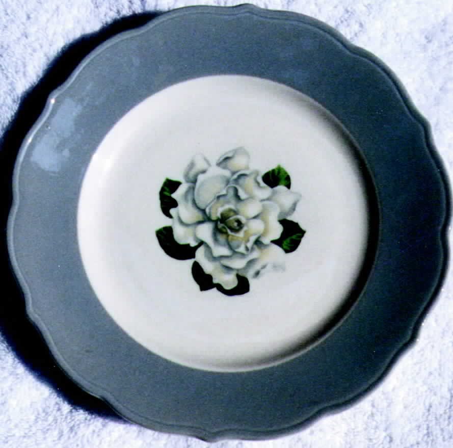 SY162 Dinner Plate by Syracuse-1
