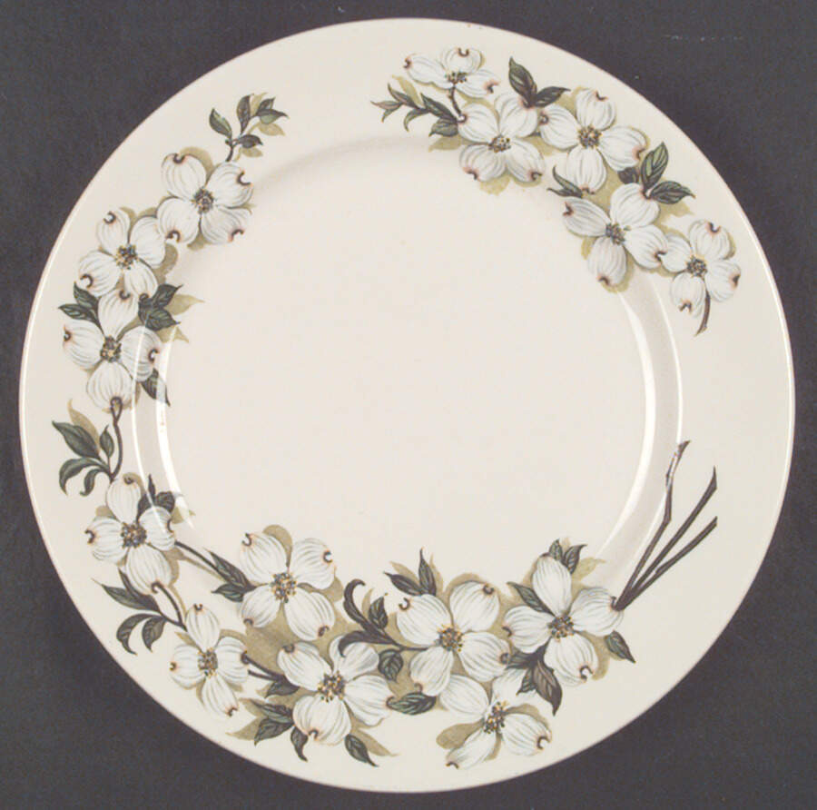SY167 Dinner Plate by Syracuse-1