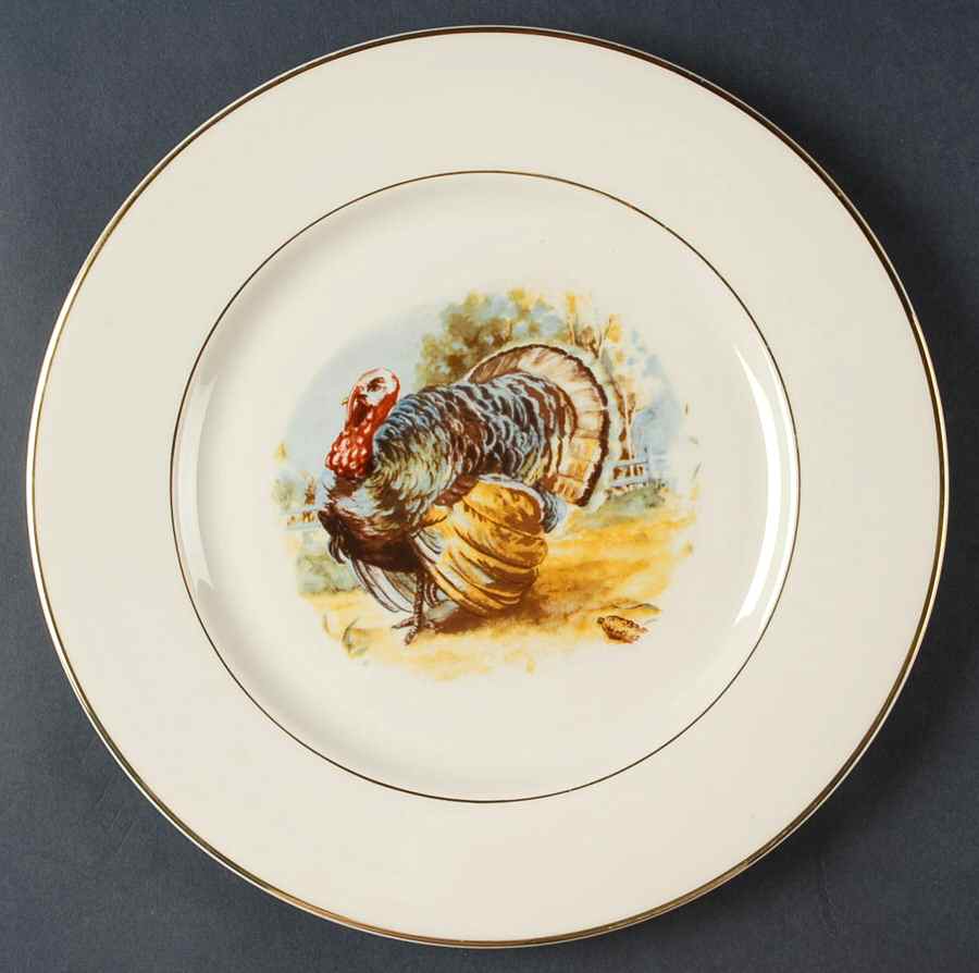 SY172 Dinner Plate by Syracuse-1