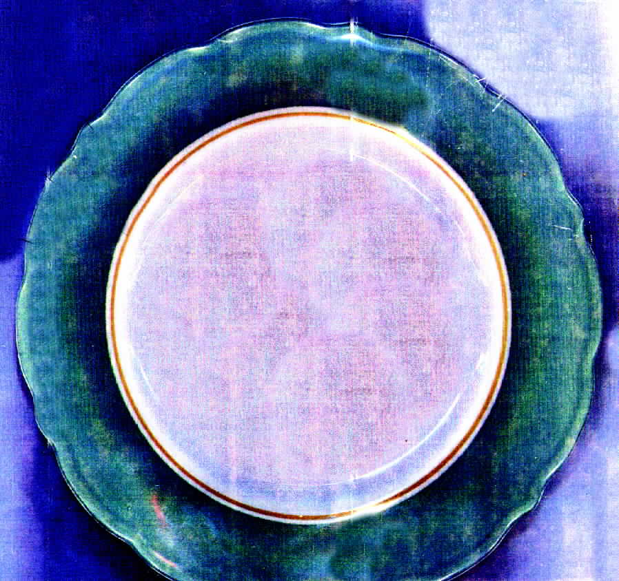 SY173 Salad Plate by Syracuse-1