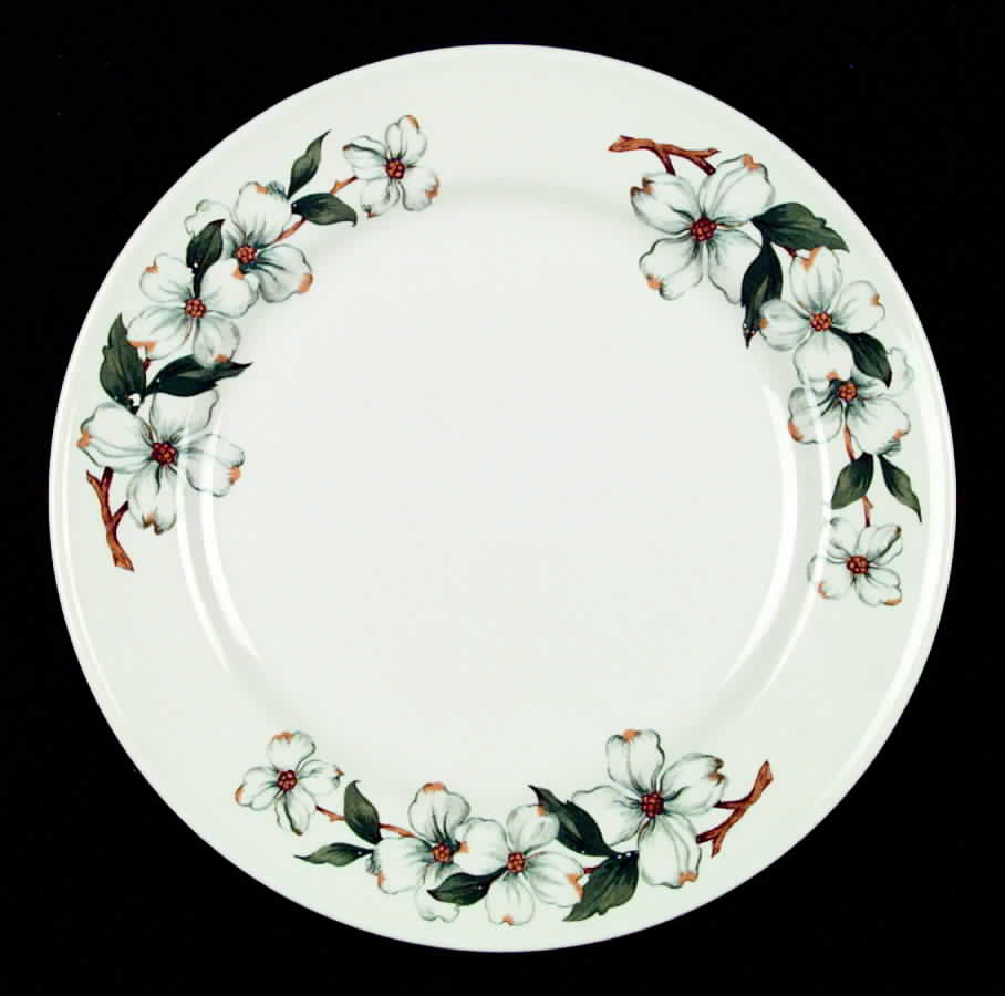 SY184 Dinner Plate by Syracuse-1