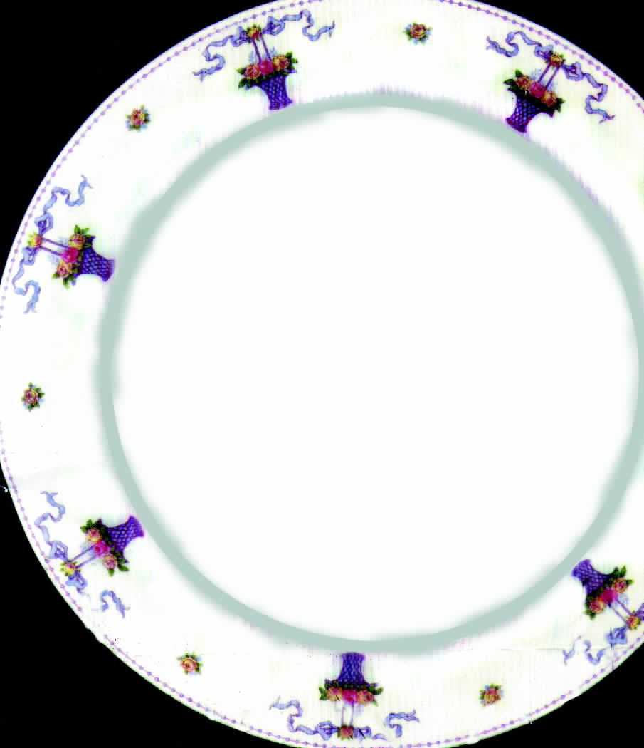 SY192 Dinner Plate by Syracuse-1