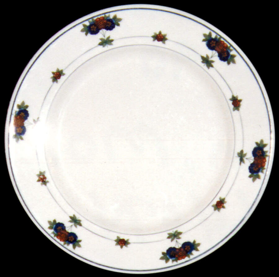 SY197 Dinner Plate by Syracuse-1