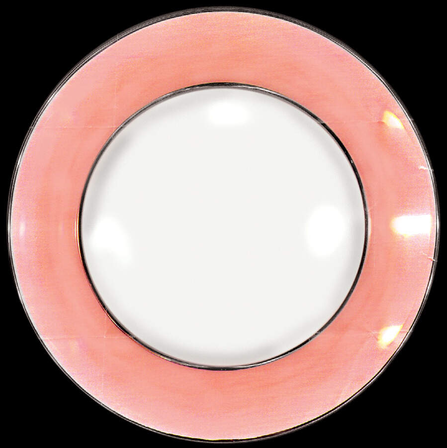 SY198 Dinner Plate by Syracuse-1