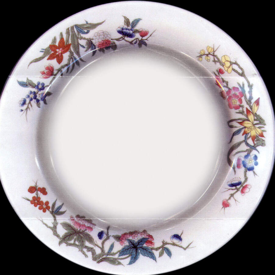 SY216 Luncheon Plate by Syracuse-1