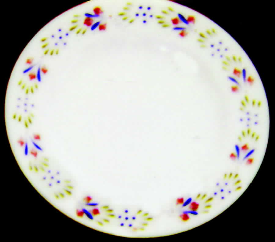 SY222 Dinner Plate by Syracuse-1