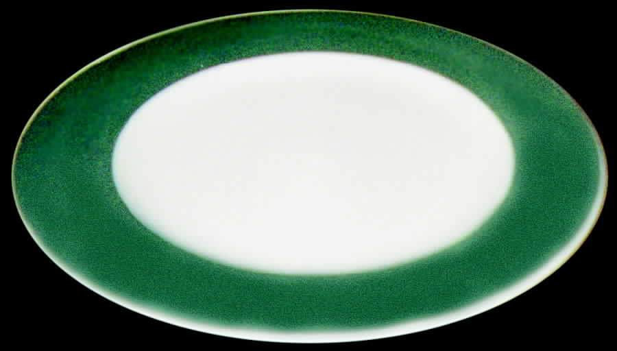 SY226 Dinner Plate by Syracuse-1