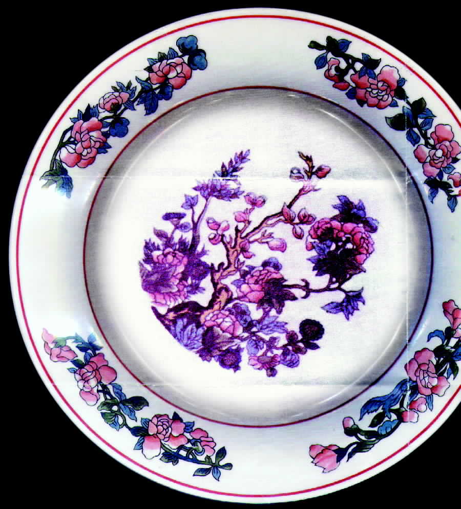 SY231 Dinner Plate by Syracuse-1