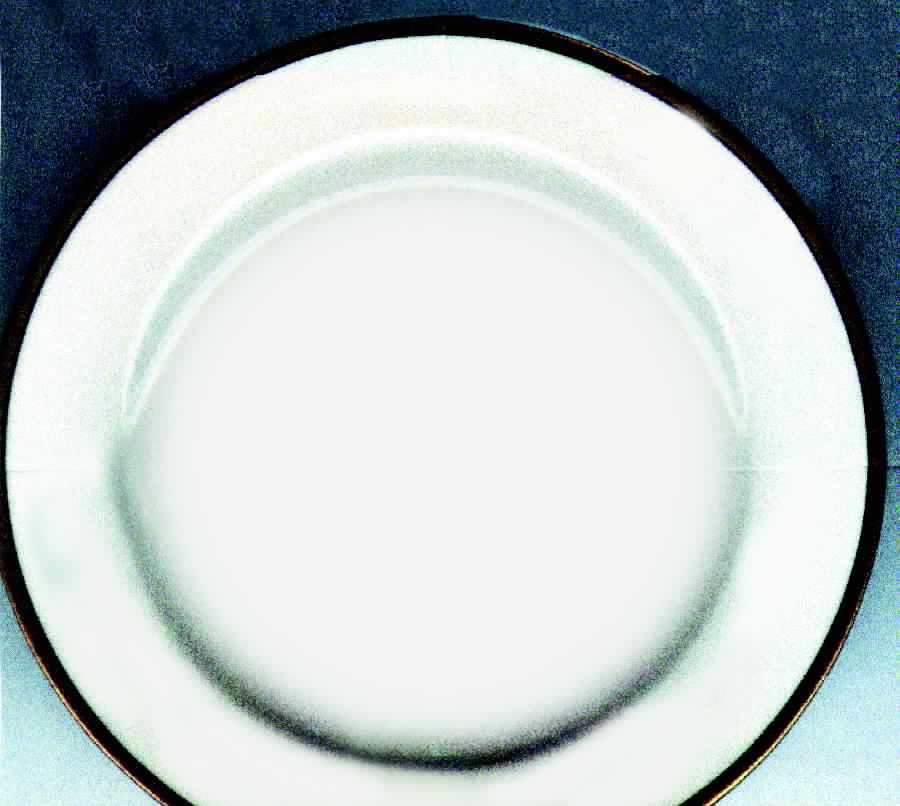 SY234 Dinner Plate by Syracuse-1