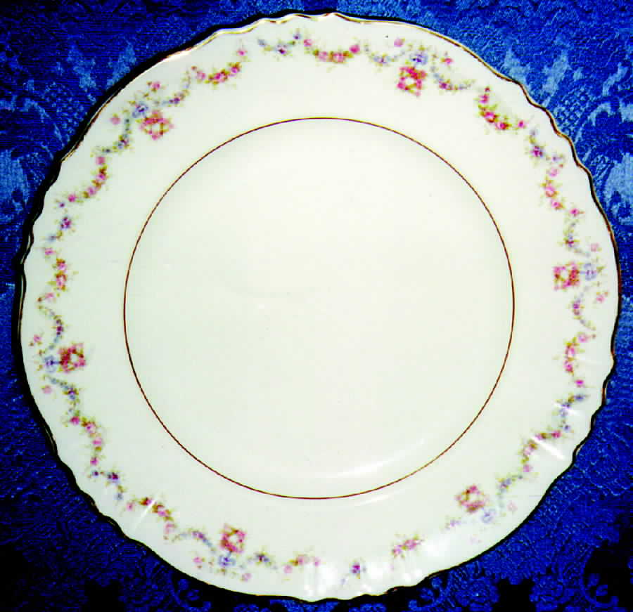 SY235 Dinner Plate by Syracuse-1