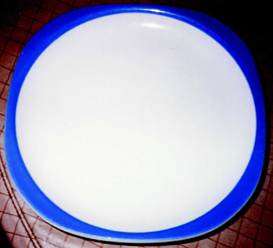 SY236 Dinner Plate by Syracuse-1