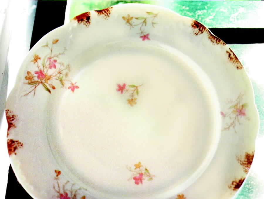 SY237 Dinner Plate by Syracuse-1