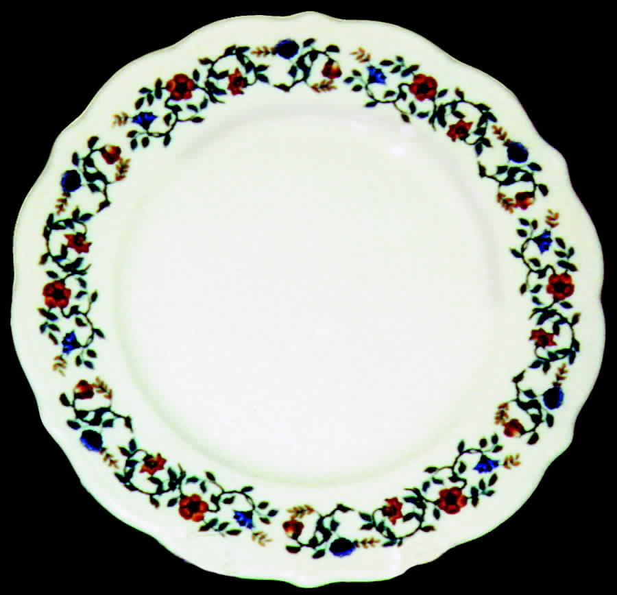 SY238 Dinner Plate by Syracuse-1