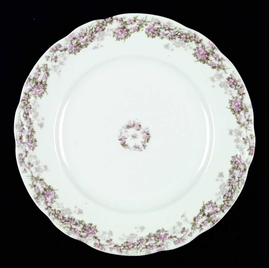 SY248 Dinner Plate by Syracuse-1