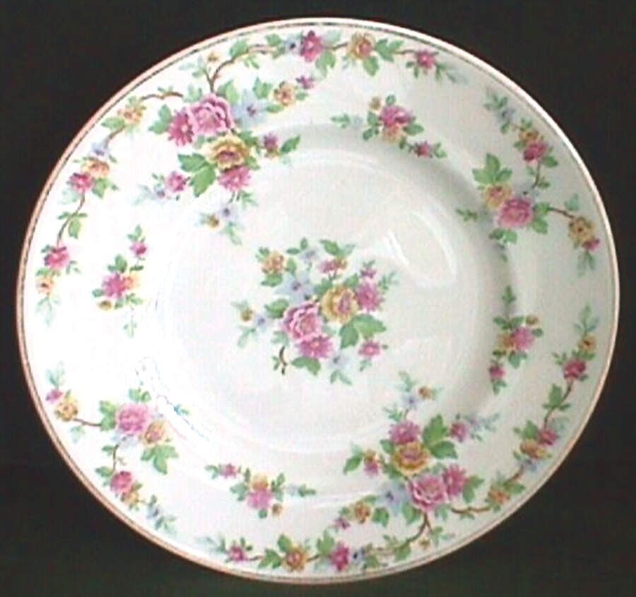 SY3 Dinner Plate by Syracuse-1
