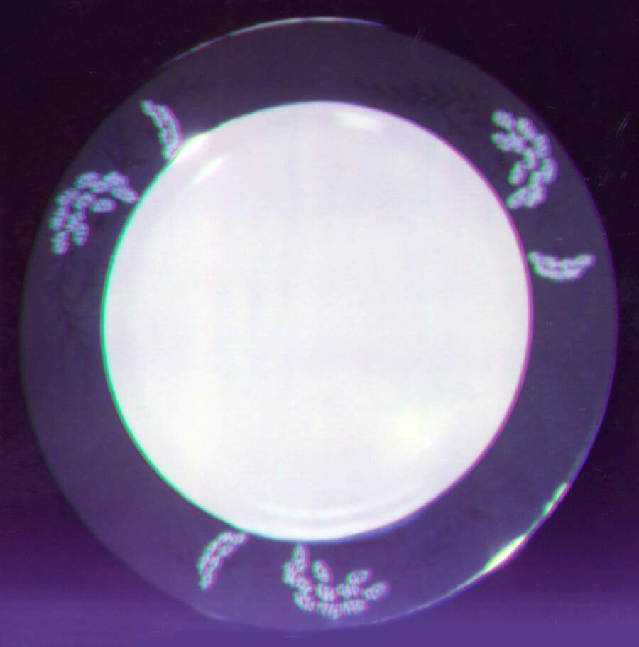 SY41 Dinner Plate by Syracuse-1