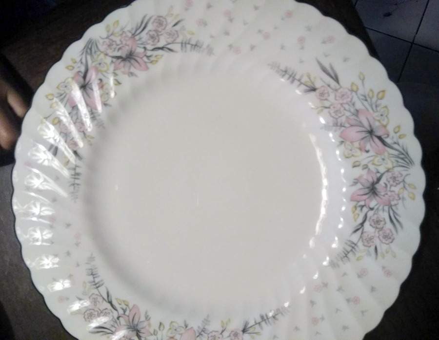 SY49 Dinner Plate by Syracuse-1