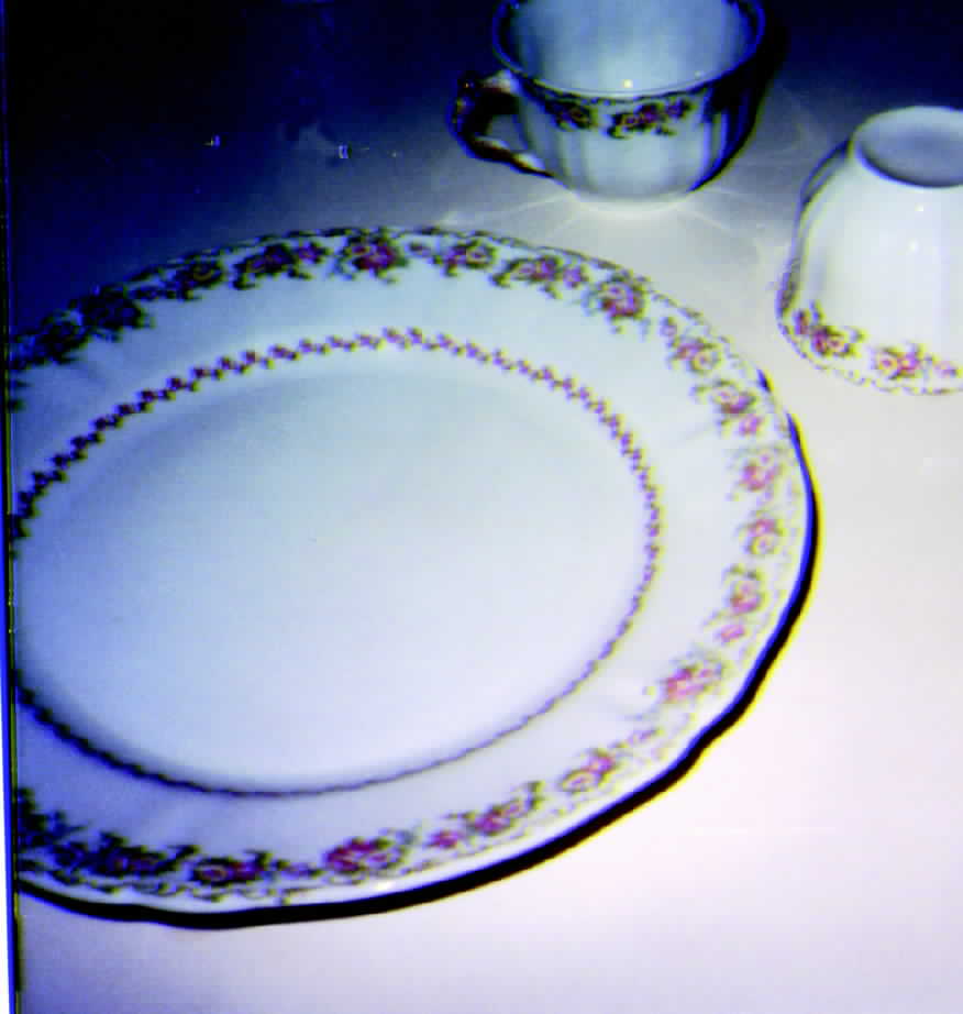 SY52 Dinner Plate by Syracuse-1