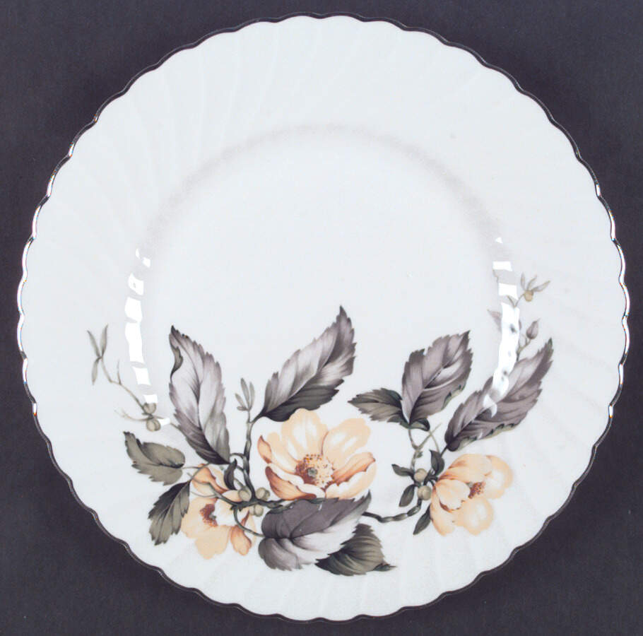 SY53 Dinner Plate by Syracuse-1