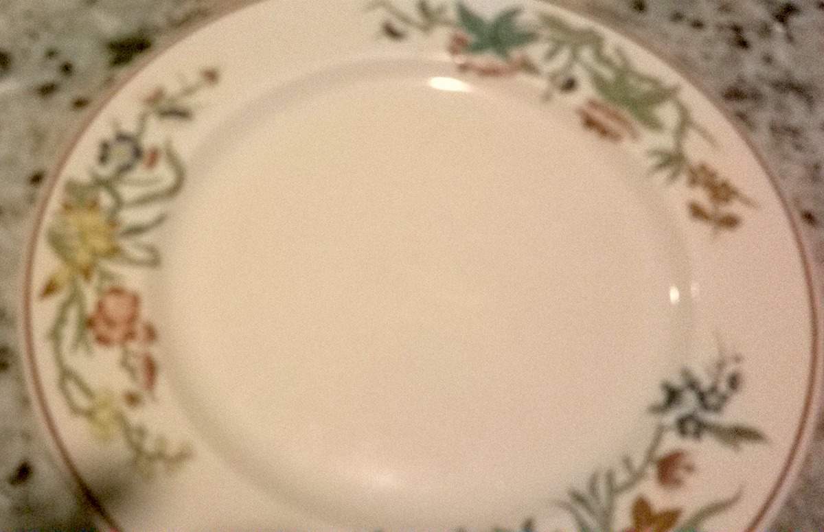SY77 Dinner Plate by Syracuse-1