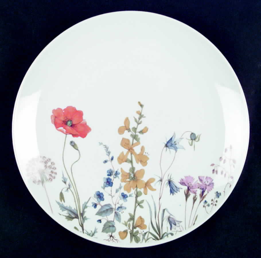 SLT87 Dinner Plate by Seltmann-1