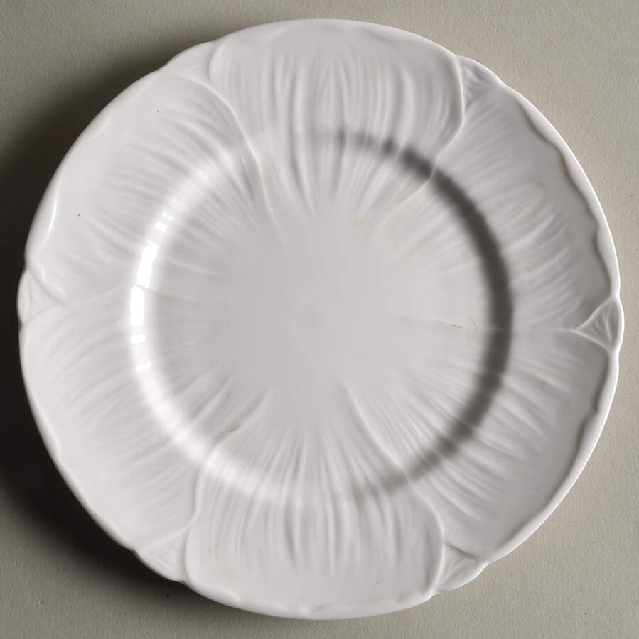 Oleander (White, Undecorated) Bread & Butter Plate by Shelley-1