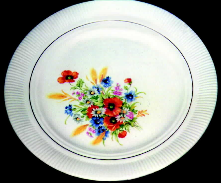 SLM106 Dinner Plate by Salem-1