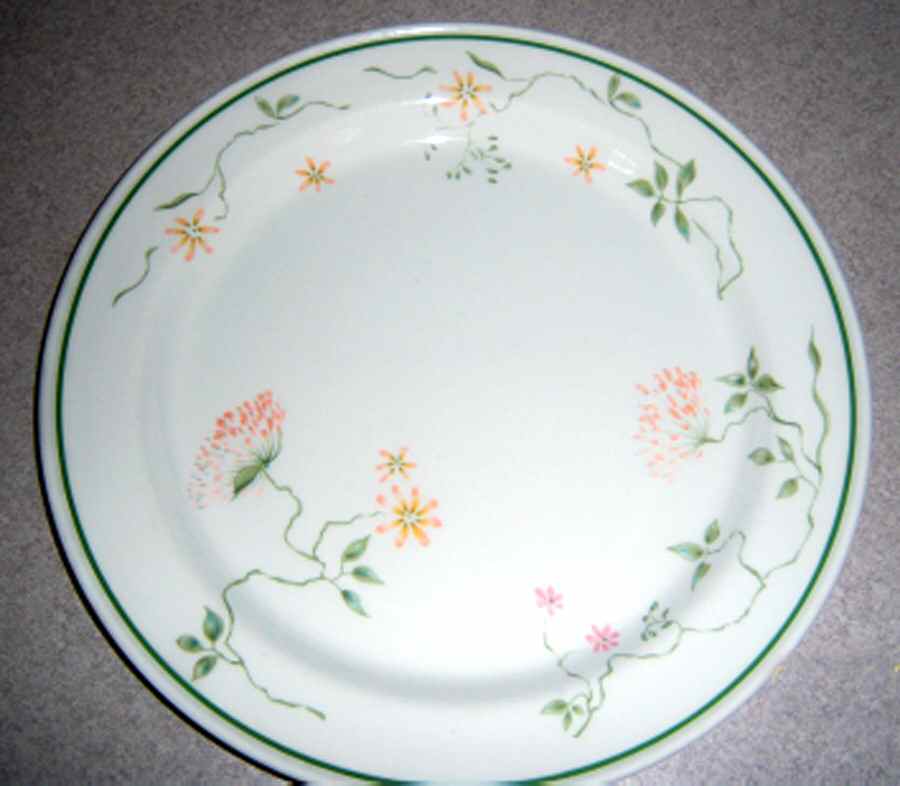 SLE5 Dinner Plate by Steelite-1