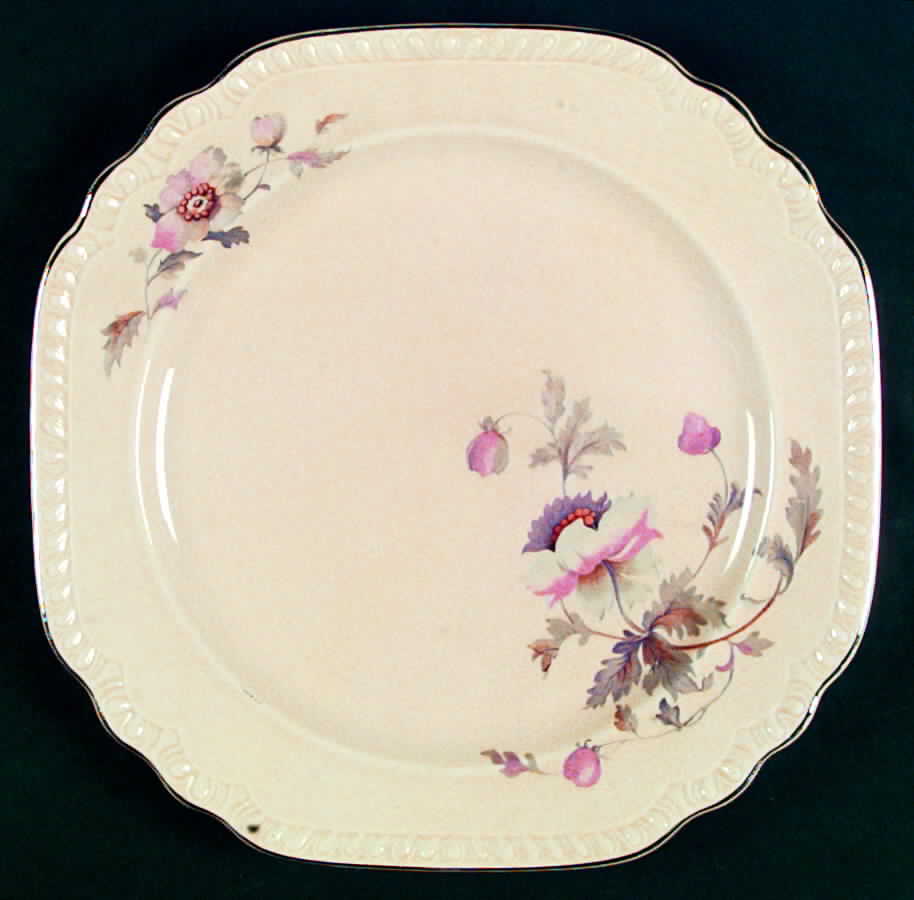 SLM107 Dinner Plate by Salem-1