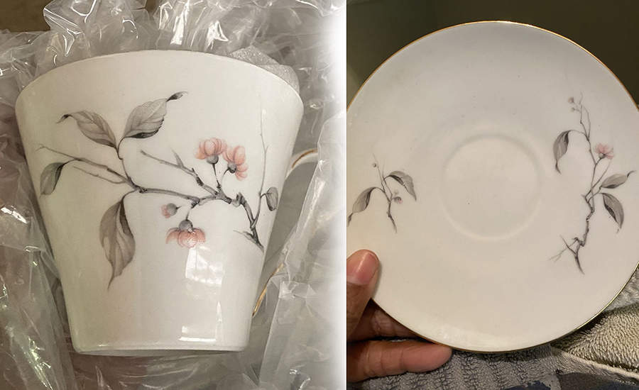 SCH118 Flat Cup & Saucer Set by Schumann - Bavaria-1