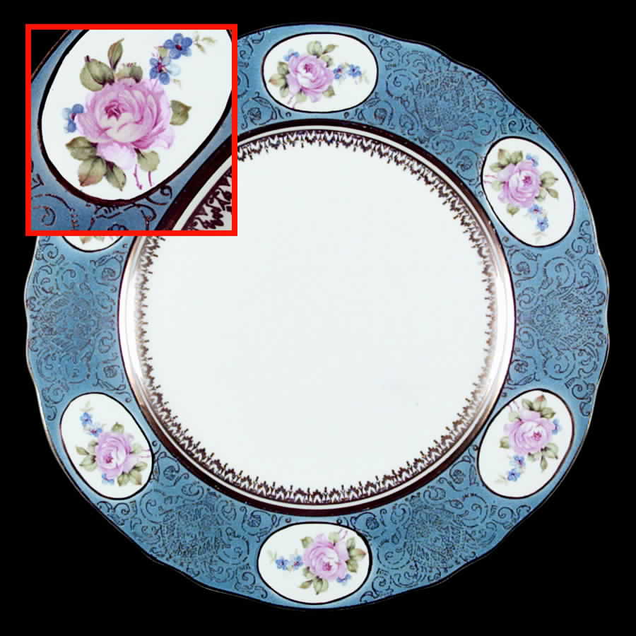 2007 Dinner Plate by Steubenville-1