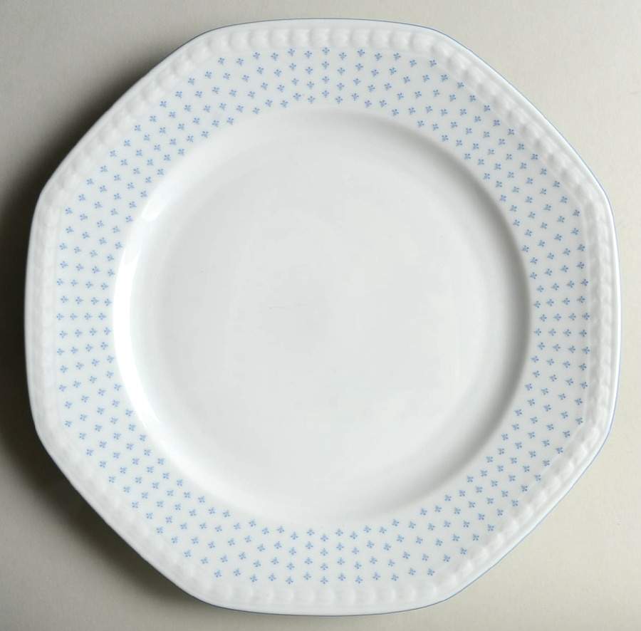 SLT89 Dinner Plate by Seltmann-1