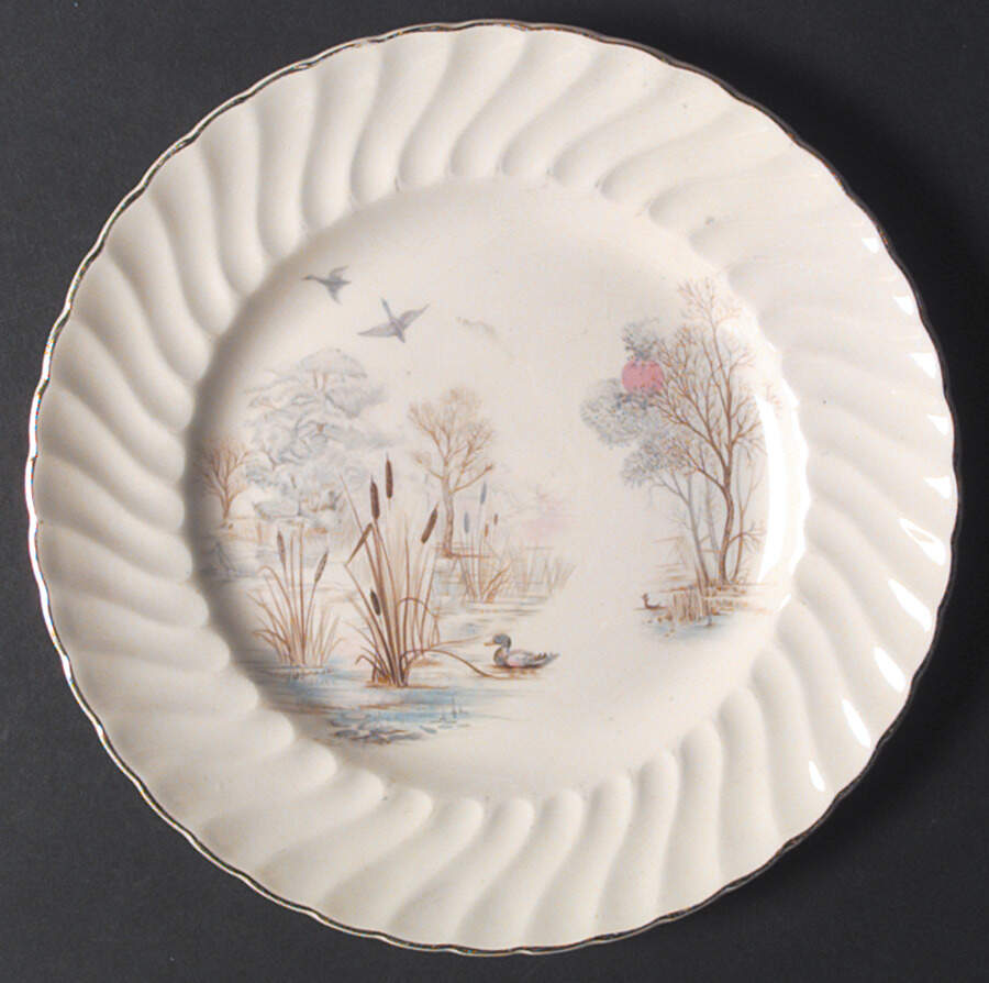 Daybreak Dinner Plate by Swinnertons-1