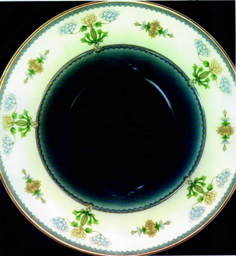 SY260 Dinner Plate by Syracuse-1