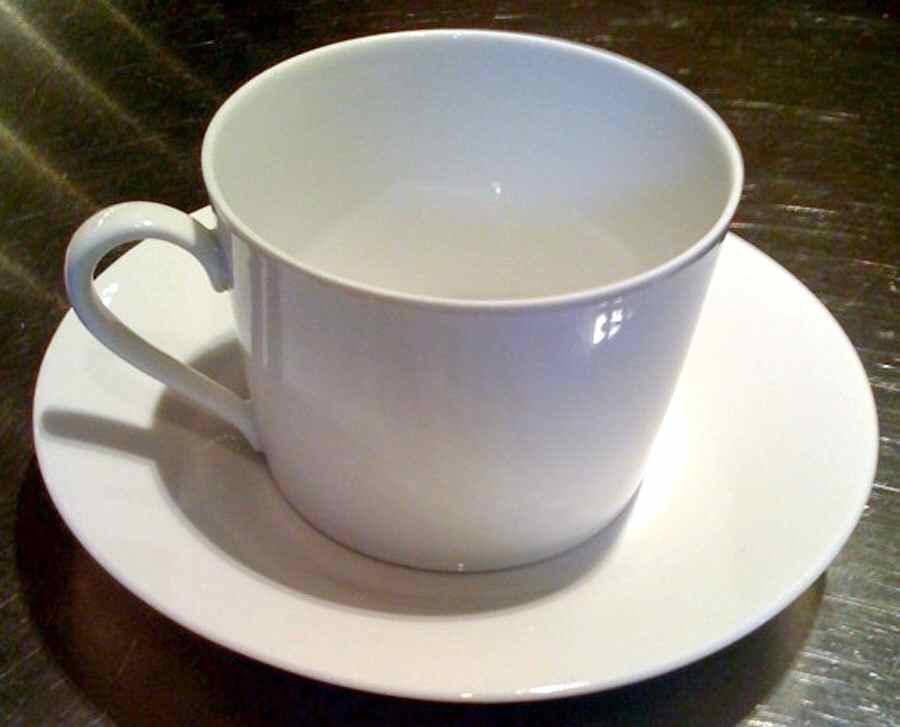 Sylvia Flat Cup & Saucer Set by Seltmann-1