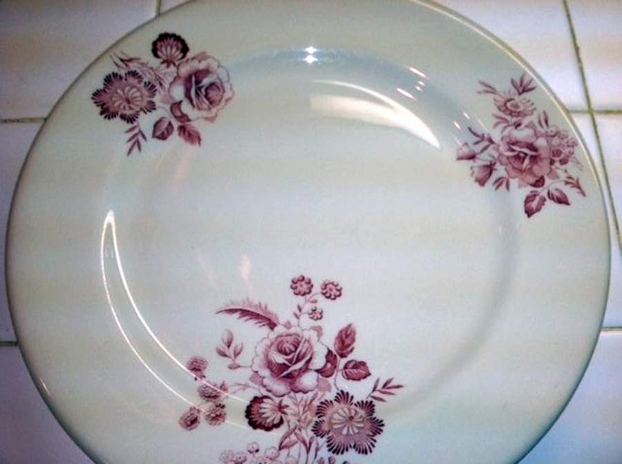 SHO24 Dinner Plate by Shenango-1