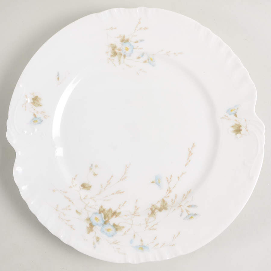 SAZ3 Dinner Plate by L Sazerat-1