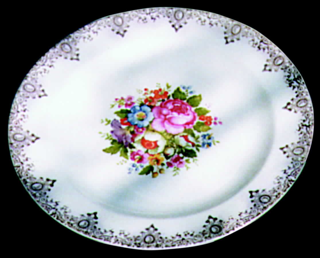 SLM112 Dinner Plate by Salem-1