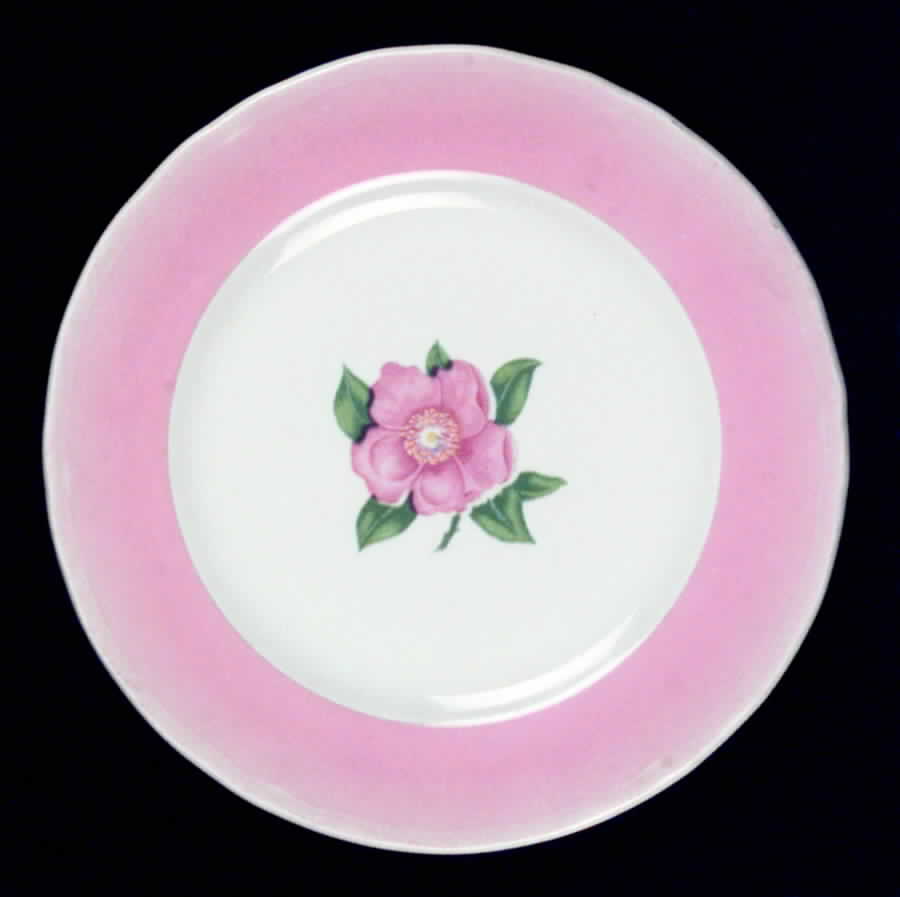 SHO76 Salad Plate by Shenango-1