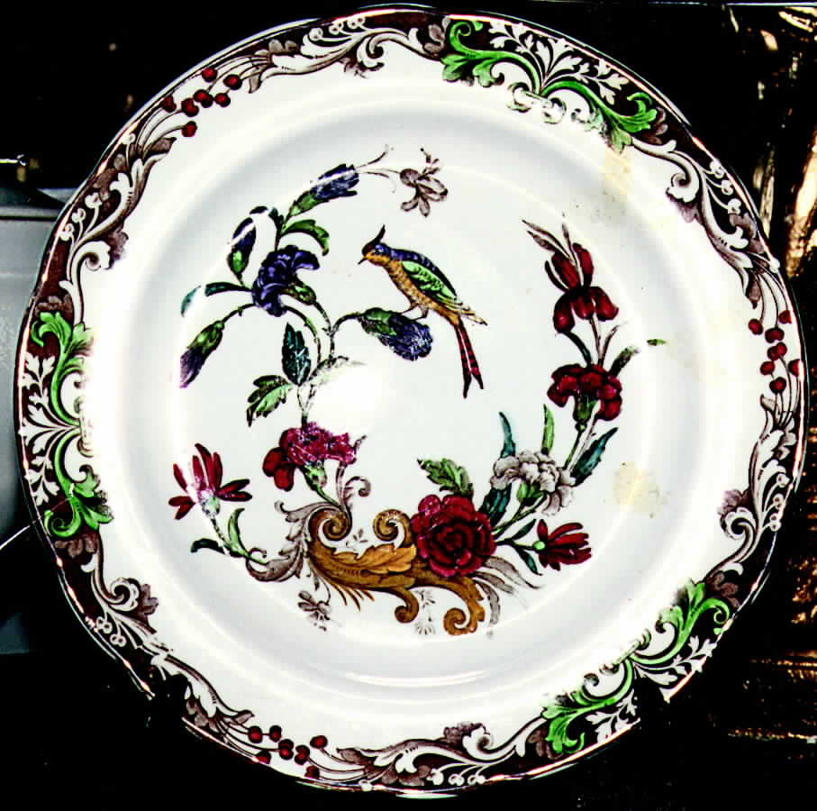 Carnation Dinner Plate by Spode-1