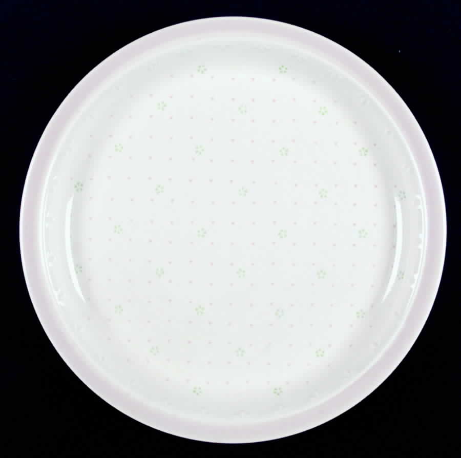 SPD1 Dinner Plate by Staffordshire Pottery-1